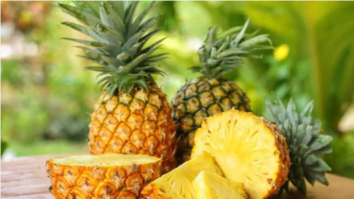 Ilustrasi buah nanas. (Sumber foto: Freepik)