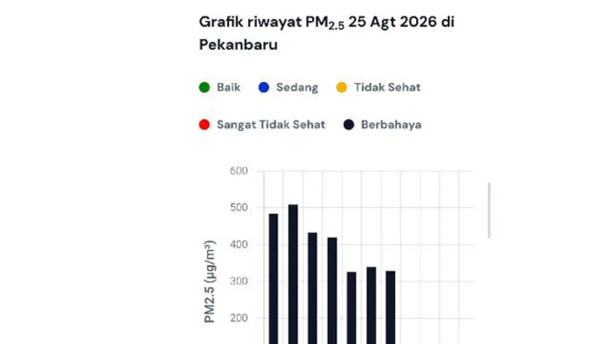 Kualitas udara Kota Pekanbaru berada dalam kondisi berbahaya sejak tengah malam hingga Selasa (25/8/2026) pagi. (Istimewa)