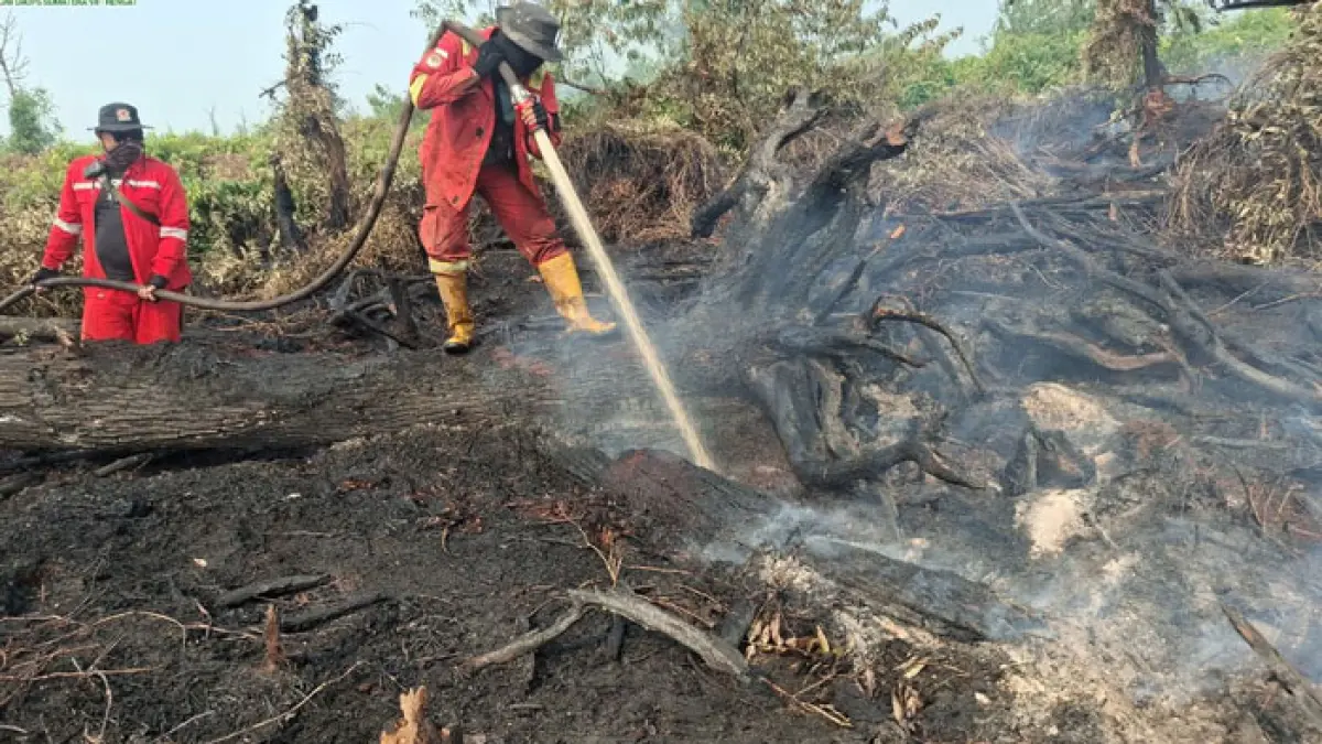 Pemadaman Karhutla di Kerumunan oleh tim Manggala Agni. (Istimewa)