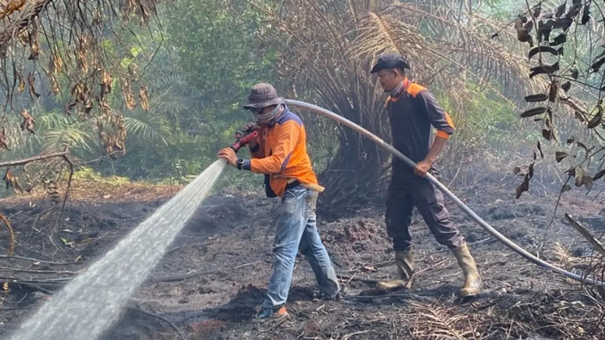 Tim gabungan melakukan proses pemadaman dan pendinginan di lokasi kebakaran di Desa Tanjung Leban kecamatan Bandar Laksamana, Selasa (25/8/2026). (Istimewa)