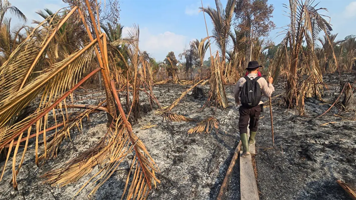 Kondisi karhutla di Kecamatan Tebingtinggi barat dinyatakan padam namun petugas masih memantau situasi kondisi di lapangan, Rabu (26/8/2026). (Istimewa)