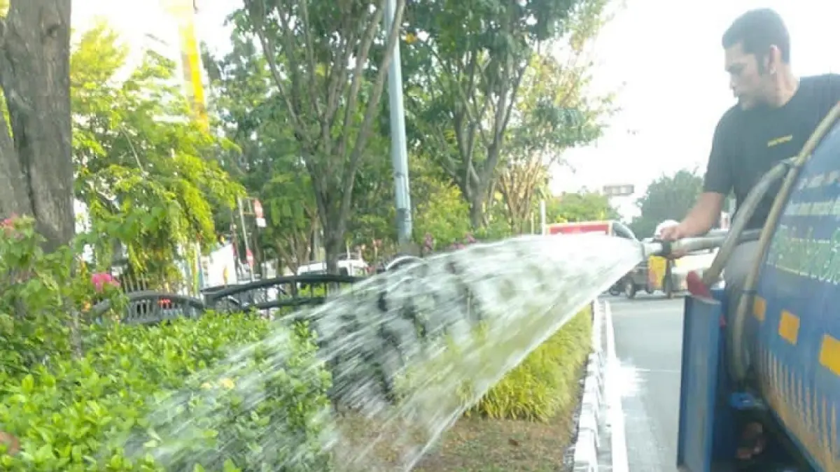 Petugas DLHK Pekanbaru melakukan penyiraman pada tanaman di median jalan, baru-baru ini. (ISTIMEWA)
