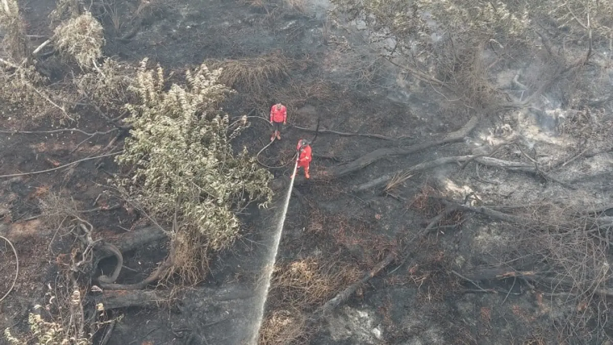 Tim Manggala Agni melakukan pemadaman karhutla di Kerumutan. (Istimewa)