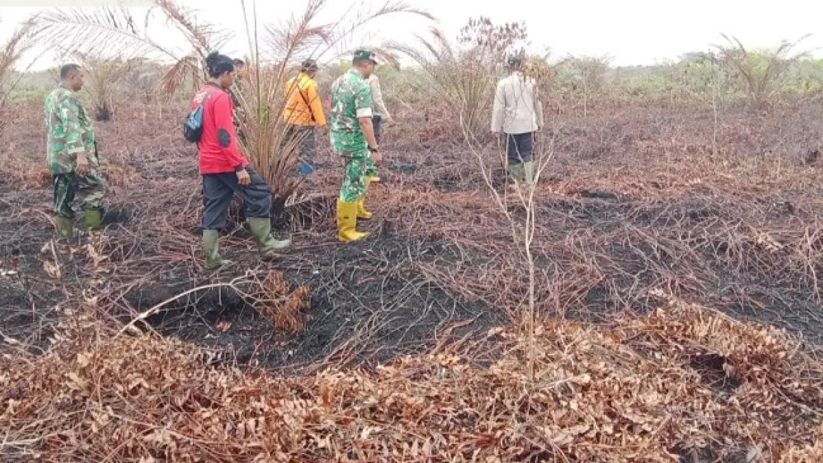 Petugas gabungan mengecek areal karhutla di Jalan Reformasi RT 002 RW 006 Dusun Tambusu, Desa Buluh Apo, Kecamatan Pinggir sudah dalam kondisi padam dan aman pascadiguyur hujan lebat, Rabu (26/8/2026). (Istimewa)