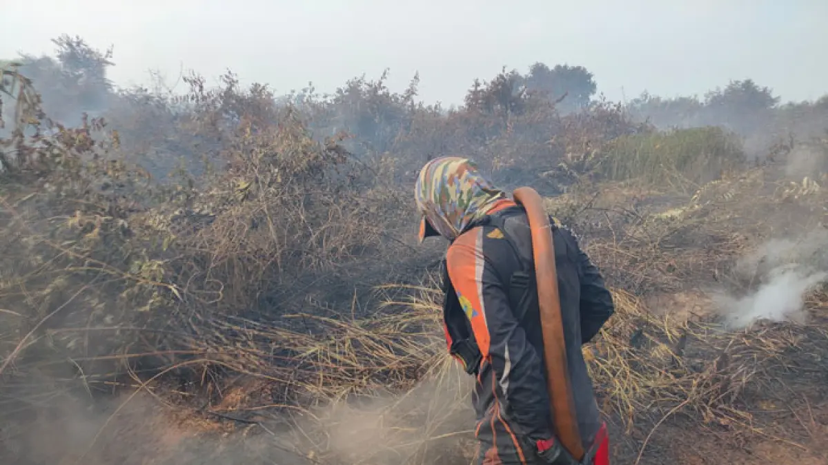 Petugas sedang berjibaku melakukan pemadaman dan pendinginan karhutla yang terjadi di Desa Kayu Raja, Kecamatan Keritang, Kabupaten Inhil, Kamis (27/8/2026). (Istimewa)