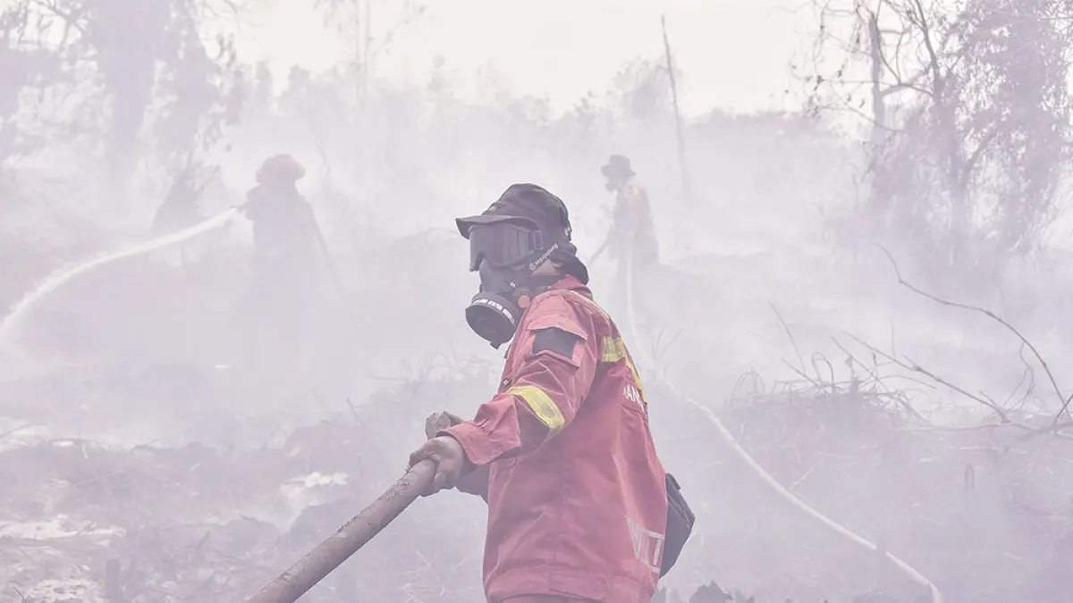 Satuan tugas gabungan menarik selang air saat memadamkan api yang membakar lahan gambut di Desa Rimbo Panjang, Kecamatan Tambang, Kabupaten Kampar, Kamis (27/8/2026). (WAHYUDI/AFP)