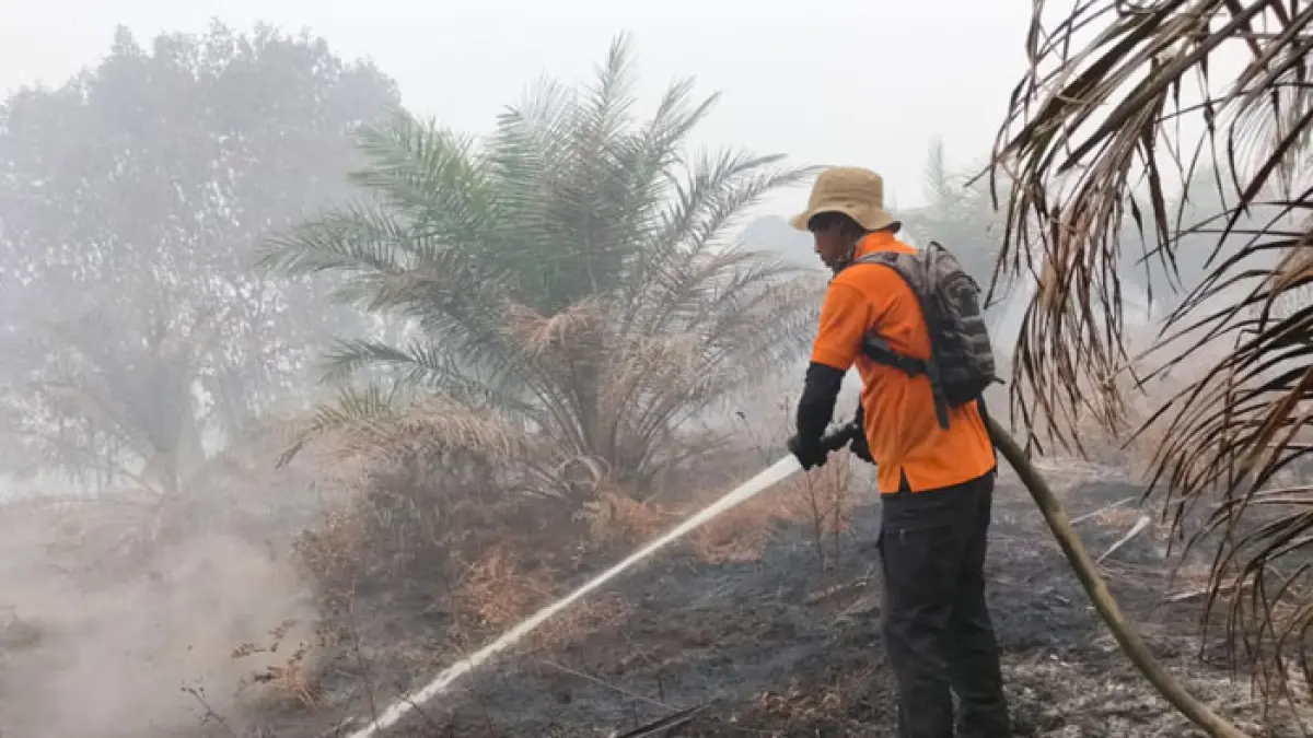 Tim gabungan melakukan pemadaman api di Desa Rantau Baru Kecamatan Pangkalan Kerinci , Jumat (28/8/2026). (Amin/Riaupos.co)