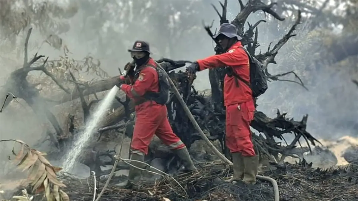 Tim Manggala Agni berupaya memadamkan Karhutla di Desa Kuantan Babu Kecamatan Rengat, Jumat (18/8/2026). Foto Manggala Agni Rengat