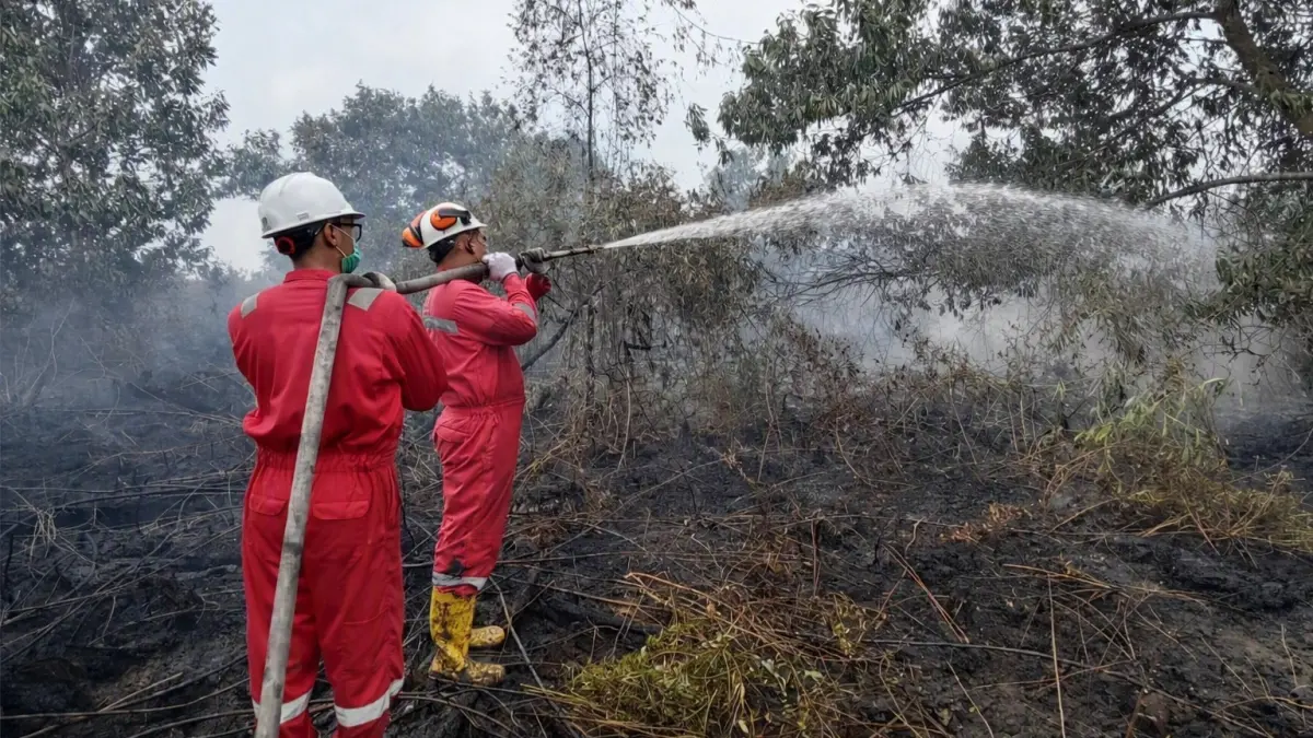 Tim pemadam kebakaran dari EMP Bentu Limited bersama mitra kerja turut memadamkan api di Desa Rantau Baru, Kabupaten Pelalawan. Selain itu, EMP Bentu juga ikut membagikan masker sebagai antisipasi dampak kabut asap