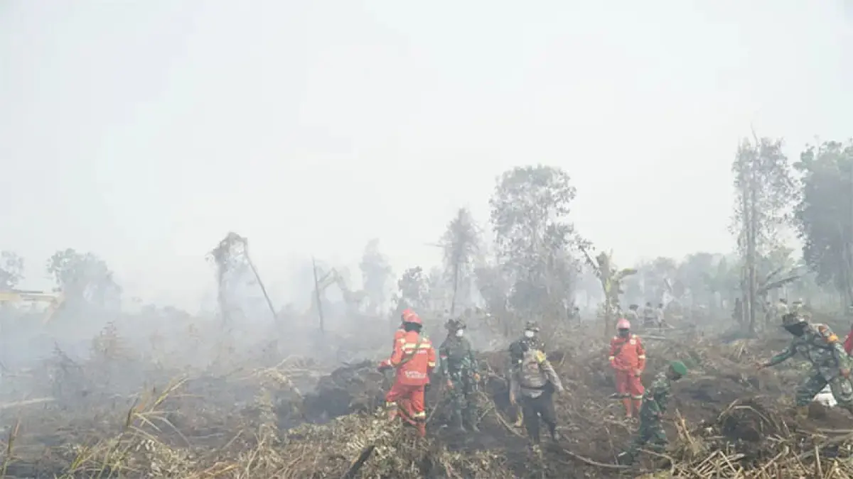 Upaya pemadaman kebakaran hutan dan lahan di Rimbopanjang terus dilakukan tim gabungan. (Mhd Akhwan/Riaupos.co)
