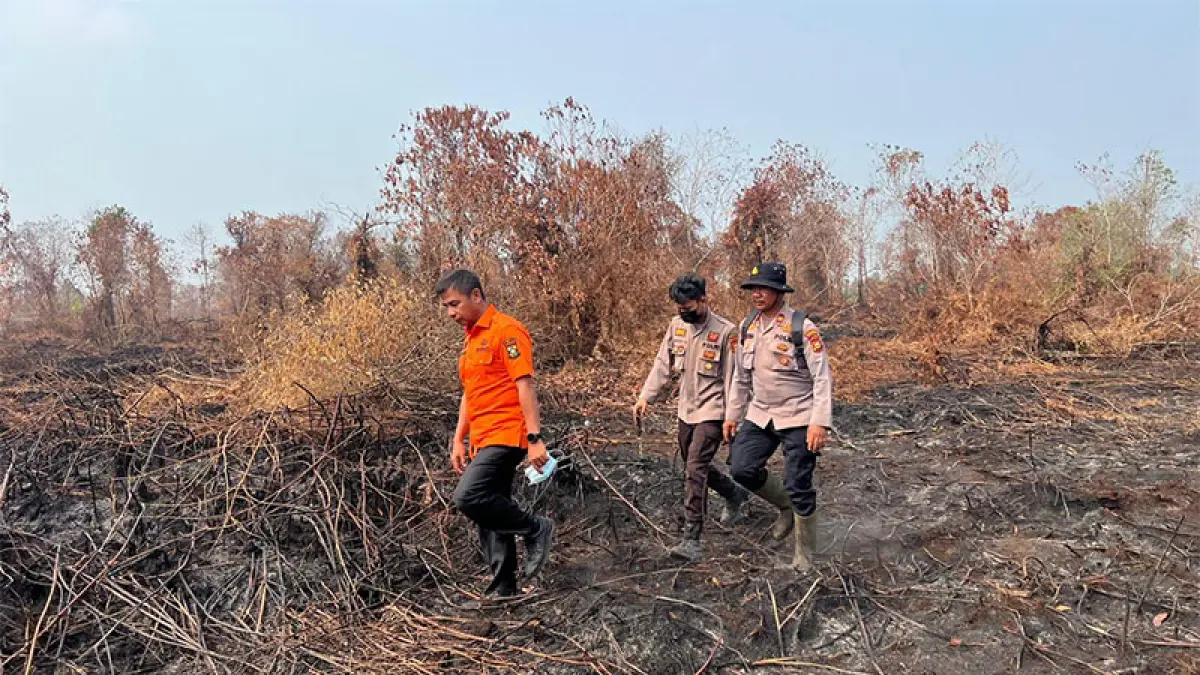 Bupati Ahmad Yuzar meninjau lokasi kebakaran lahan di Jalan Keluarga, Desa Rimbo Panjang, Kecamatan Tambang, Sabtu (29/8/2026). Diskominfo untuk Riaupos.co