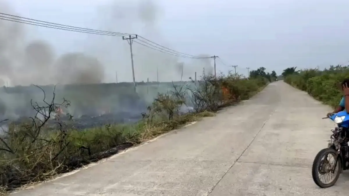 Lahan di tepi ruas jalan provinsi Sontang-Duri, Kecamatan Mandau, Kabupaten Bengkalis terbakar, tepatnya di Desa Sontang, Kecamatan Bonai Darussalam, Rohul, Selasa (1/9/2026) petang. (Warga Sontang untuk Riaupos.co)