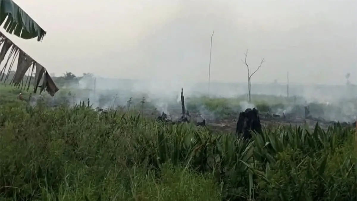 Lahan gambut dan semak belukar yang terbakar di tepi Jalan Sontang-Duri, berhasil dipadamkan. Tim gabungan masih melakukan pendinginan karena asap masih terlihat, Selasa (1/9/2026). Foto Warga Sontang untuk Riaupos.co.
