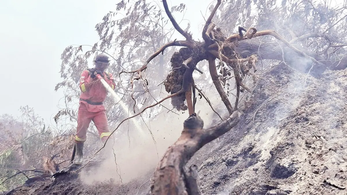 Personel Manggala Agni Rengat terus berupaya memadamkan api yang membakar lahan di Desa Kuantan Babu, Kecamatan Rengat, Kabupaten Indragiri Hulu, Senin (31/8/2026). (Manggala Agni Rengat untuk Riau Pos)