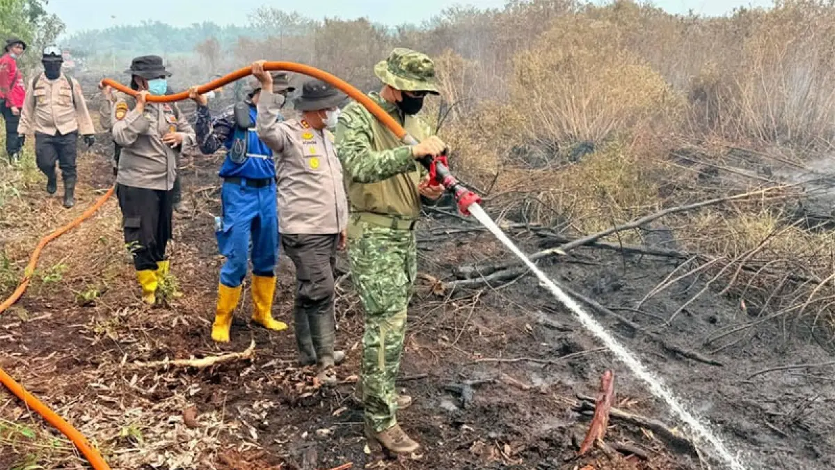 Tim gabungan melakukan pendinginan karhutla di Desa Rantau Baru Kecamatan Pangkalan Kerinci, Kabupaten Pelalawan, Selasa (1/9/2026). (M Amin Amran)