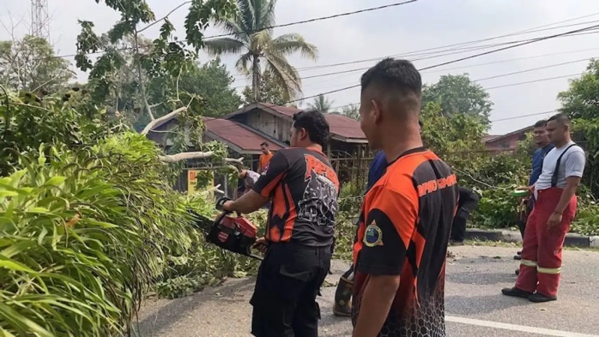 Tim TRC BPBD Kabupaten Kampar membersihkan pohon tumbang di Jalan Sudirman, Kelurahan Langgini, Kecamatan Bangkinang Kota, Kabupaten Kampar, Rabu (2/9/2026). (BPBD Kampar untuk Riaupos.co)