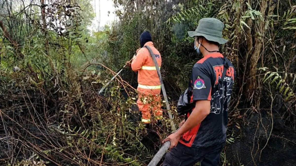 Tim TRC BPBD Kampar bersama satgas gabungan memadamkan api yang membakar lahan di Desa Rimba Panjang, Kecamatan Tambang, Kabupaten Kampar, Kamis (3/9/2026). (BPBD Kampar untuk Riaupos.co)