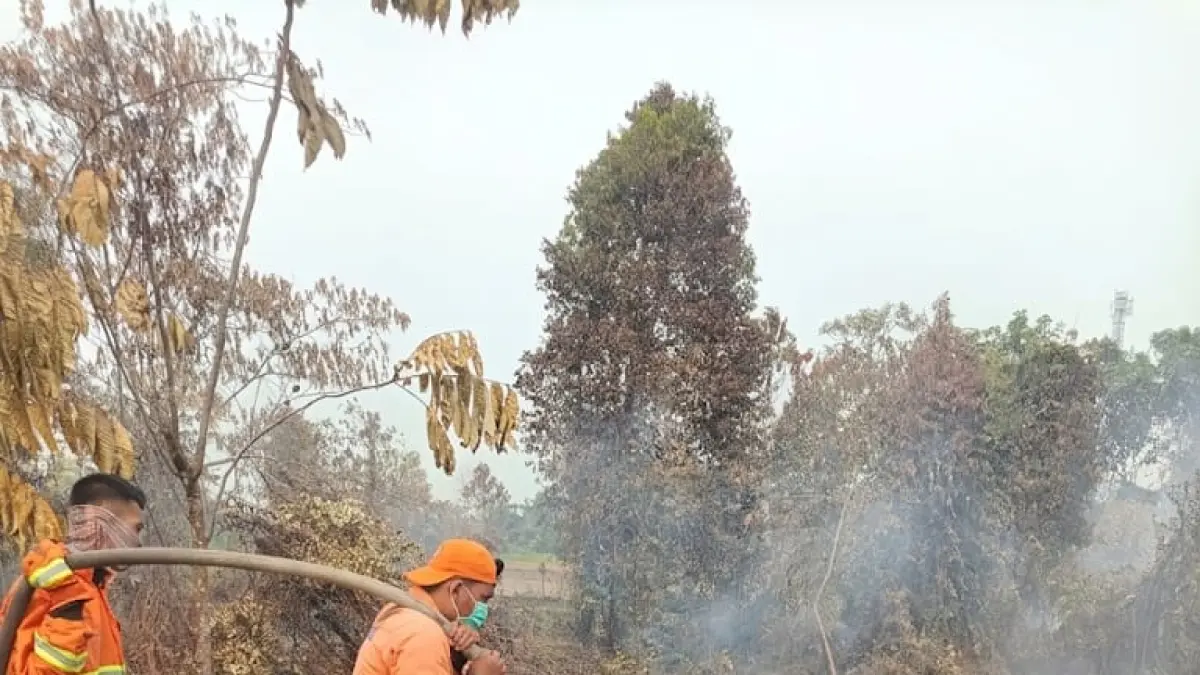 Tim gabungan Polri, TNI, dan BPBD Kabupaten Kampar masih berjibaku melakukan pemadaman dan pendinginan lahan gambut yang terbakar di Jalan Madura, Dusun II, RT/RW 002/002, Desa Rimbo Panjang, Kecamatan Tambang, Kabupaten Kampar, Sabtu (5/9/2026).(BPBD untuk Riaupos.co)