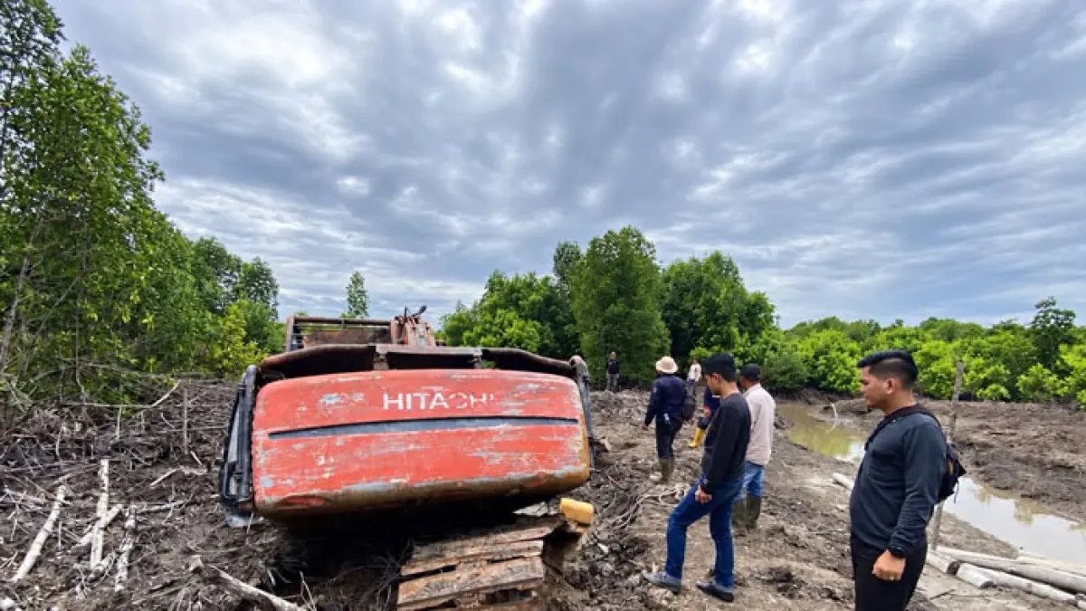 Petugas dari Subdit IV Ditreskrimsus Polda Riau mengamankan sebuah alat berat yang melakukan perambahan hutan mangrove. (Istimewa)