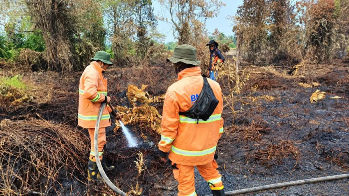 Tim TRC BPBD Kampar bersama satgas gabungan masih berjibaku memadamkan kebakaran lahan di Jalan Madura, Desa Rimbo Panjang, Kecamatan Tambang, Kabupaten Kampar, Ahad (6/9/2026). (Istimewa)