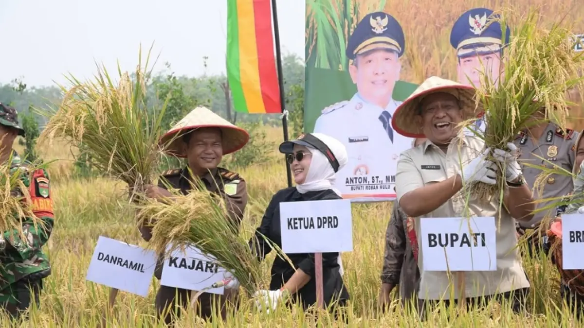 Bupati Rohul Anton bersama Forkopimda dan kepala perangkat daerah panen padi bersama di Desa Rambah Baru, Kecamatan Rambah Samo, Senin (7/9/2026). (Prokopim Setda Rohul untuk Riaupos.co)