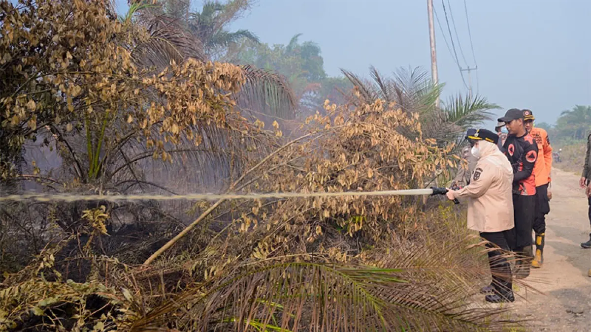 Bupati Bengkalis Hj Kasmarni ikut melakukan pemadaman api Karhula di Desa Sungai Meranti, Kecamatan Pinggir, Senin (7/9/2026). Foto Istimewa