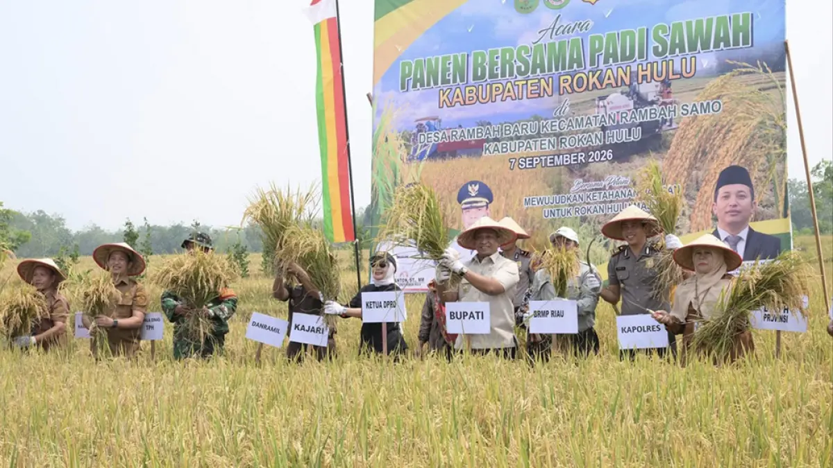 PANEN PADI: Bupati Rohul Anton bersama forkopimda panen padi di lahan kelompok tani Desa Rambah Baru, Kecamatan Rambah Samo, Senin (7/9/2026).(Prokopim Setda Rohul untul Riau Pos)