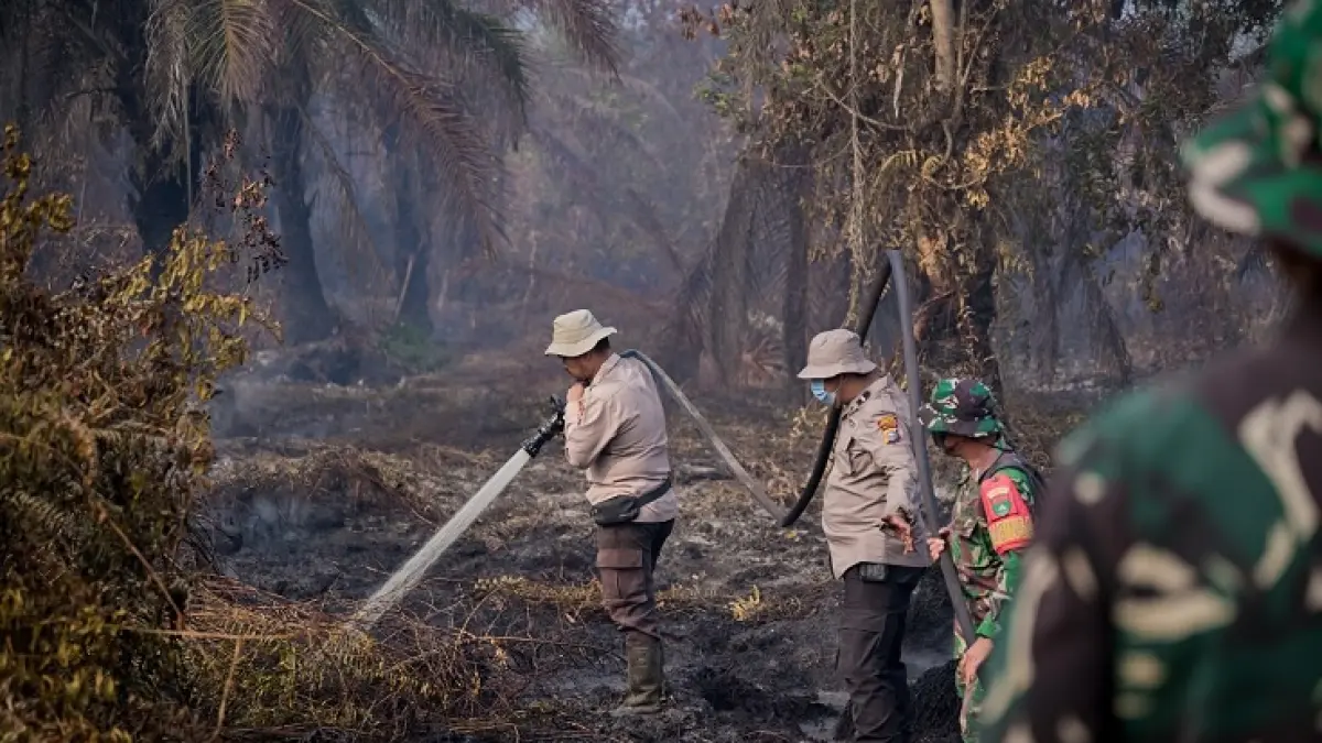 Petugas dari Satgas Karhutla menyemprotkan air untuk memadamkan api yang menyebabkan asap di Desa Sungai Meranti, Kecamatan Pinggir pada Senin (7/9/2026).(Istimewa)