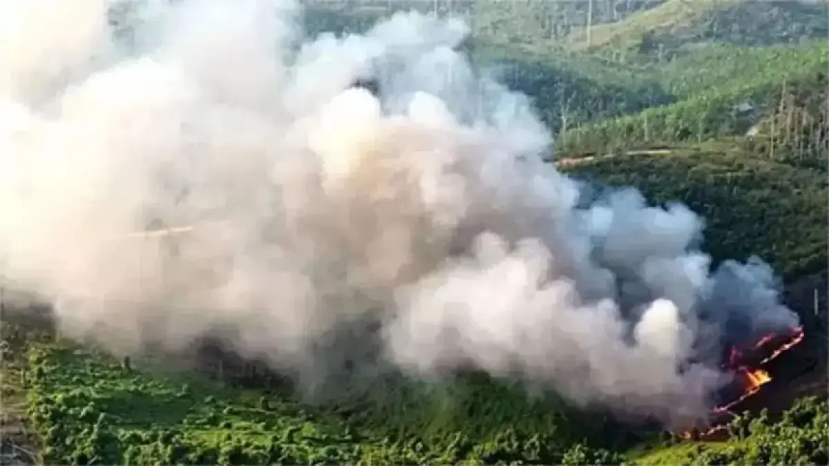 Salah satu kebakaran hutan dan lahan di wilayah Provinsi Riau, beberapa waktu lalu. (Dok Riaupos.co)