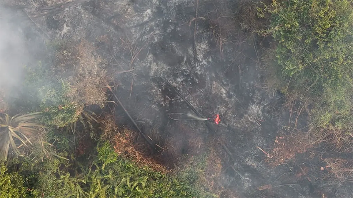 Tim gabungan saat memadamkan Karhutla yang terjadi di Desa Kuantan Babu, Senin (7/9/2026). Foto Manggala Agni Rengat