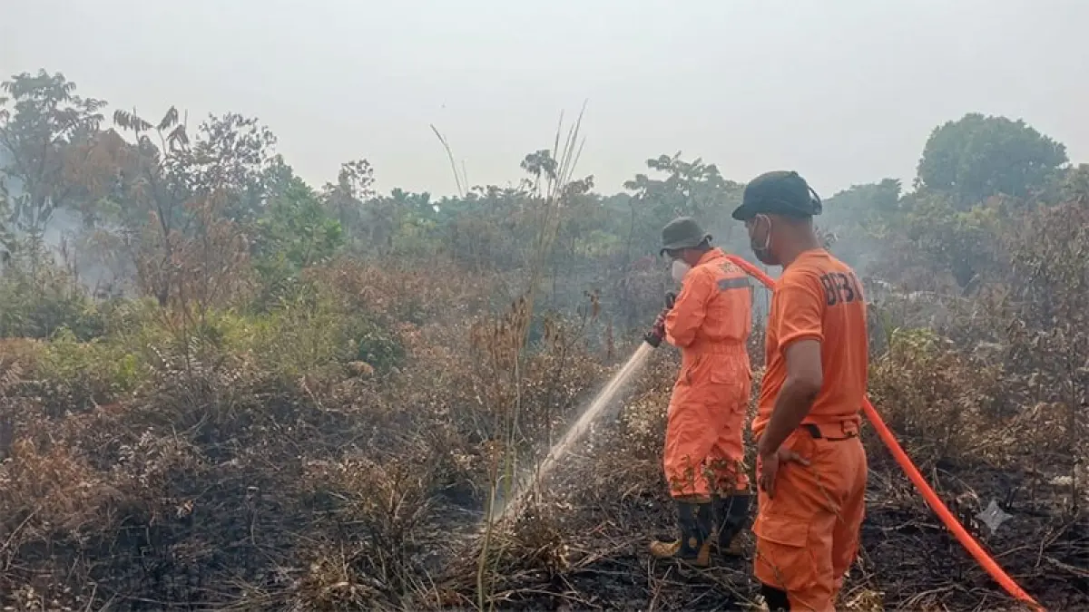 Tim TRC BPBD Kampar bersama Satgas gabungan memadamkan api yang membakar lahan di Jalan Manunggal, Perumahan Mega Panam Raya 2, Desa Tarai Bangun, Kecamatan Tambang, Selasa (8/9/2026). BPBD Kampar untuk Riaupos.co