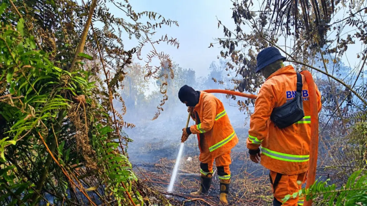 Tim TRC BPBD Kampar bersama Satgas Gabungan memadamkan api yang membakar lahan di Jalan Madura, Desa Rimbo Panjang, Kecamatan Tambang, Rabu (9/9/2026).(BPBD Kampar untuk Riaupos.co)