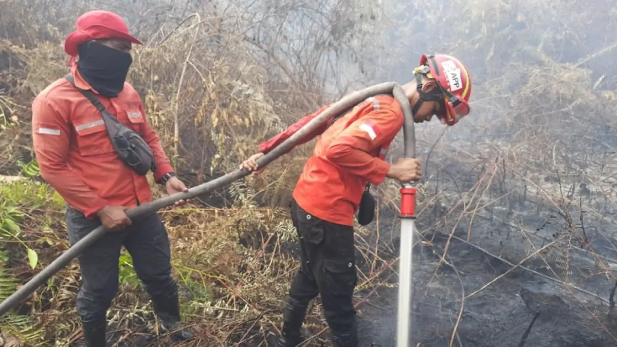 Penanganan karhutla di Sungai Apit membutuhkan sinergi lintas batas karena kondisi api, asap, dan bentang alam saling terhubung.(Istimewa)