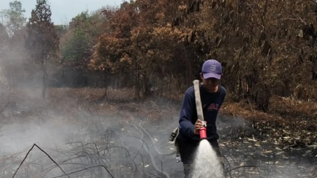 Petugas saat memadmakan api karhutla. Bantuan PBPH sangat berarti bagi desa dalam menghadapi karhutla.(Istimewa)