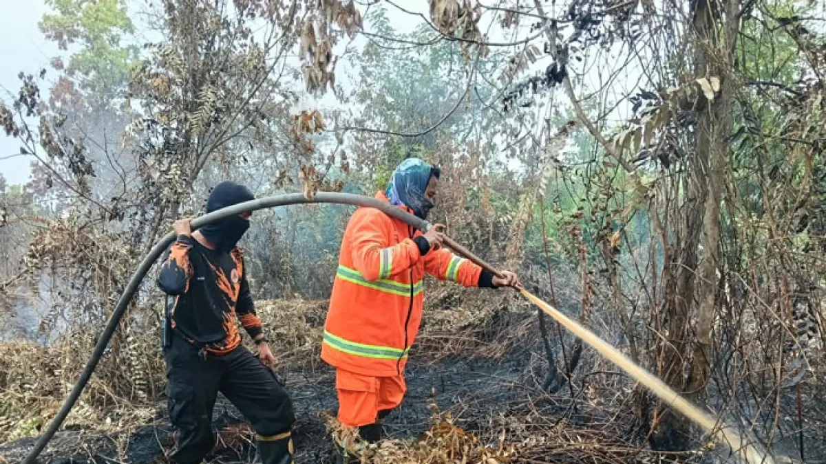 Tim TRC BPBD Kampar bersama satgas gabungan memadamkan api yang membakar lahan di Desa Karya Indah, Kecamatan Tapung berbatasan dengan Jalan Uka, Desa Rimbo Panjang, Kecamatan Tambang, Kabupaten Kampar, Ahad (13/9/2026). (BPBD Kampar untuk Riaupos.co)