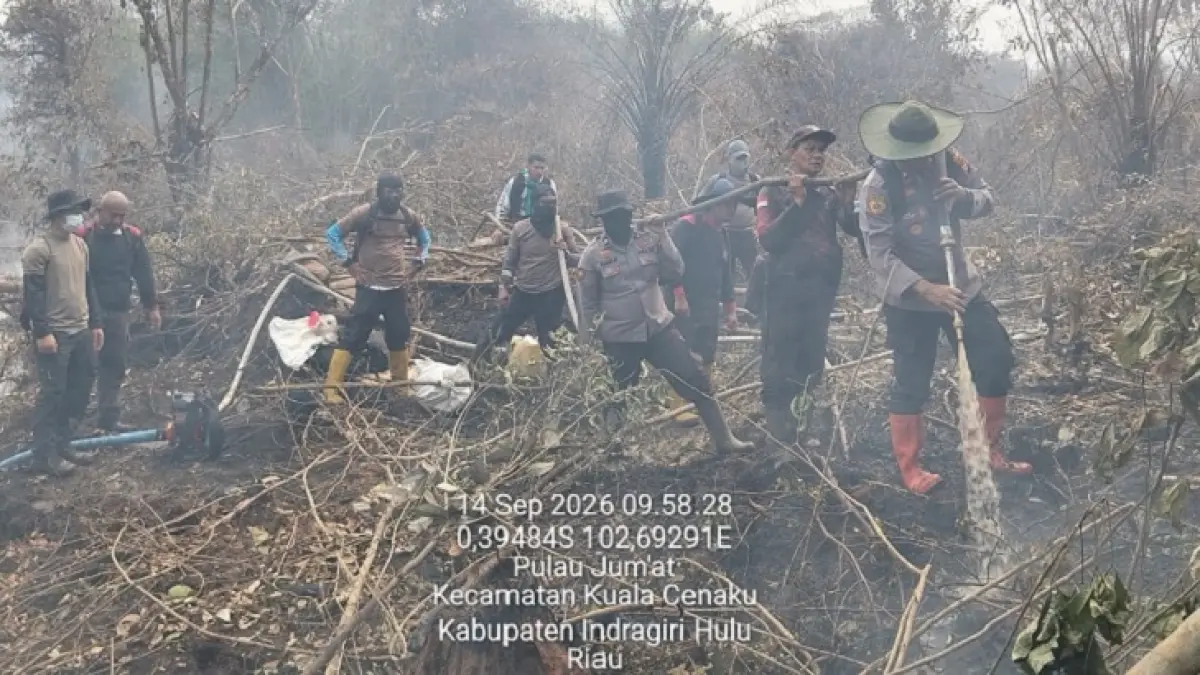 Petugas melakuakn pemadaman karhutla di Pulau Jumat Kecamatan Kuala Cenaku, Indragiri Hulu. (Istimewa)