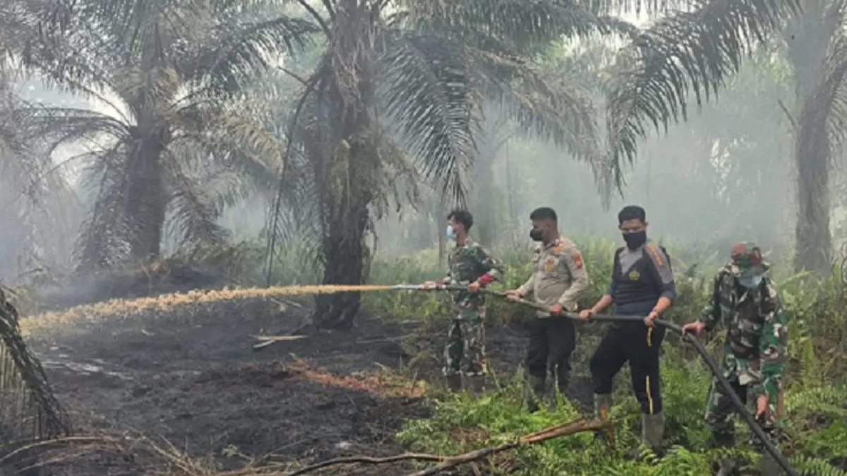 Personel tim gabungan saat memadamkan Karhutla yang terjadi di Desa Penyaguhan Kecamatan Batang Gansal, Senin (21/9/2026).(Satgas Karhutla Inhu)