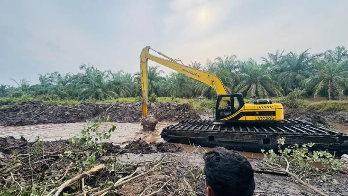 Ekskavator amphibi PC200 melakukan pembersihan Sungai Mengkapan, Kecamatan Sungai Apit, Kabupaten Siak yang mengalami pendangkalan, Selasa (22/9/2026).(Istimewa)