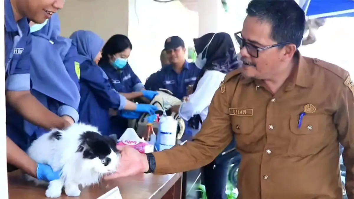 Kepala Dinas Pertanian Inhil Umar Hamdy menyaksikan hewan yang diberi vaksin di halaman Kantor Dinas Pertanian Inhil, Selasa (29/9/2026). (Foto Istimewa)