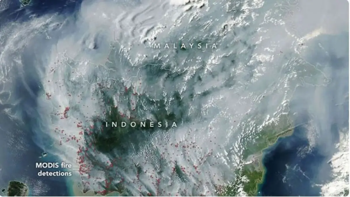 Citra satelit NASA memperlihatkan asap tebal dari kebakaran gambut di Indonesia menyelimuti Kalimantan hingga Malaysia. (24/7 Wall St./Jawapos.com)