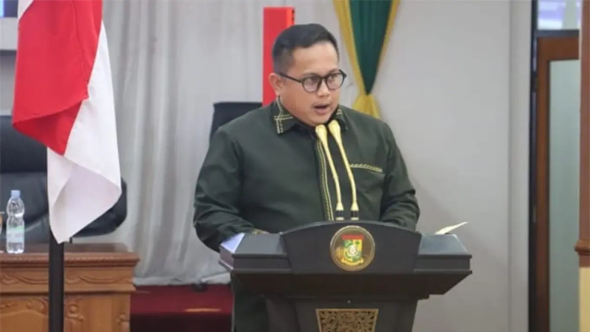 Wakil Ketua Komisi II DPRD Kampar Rinaldo Saputra. (Istimewa)