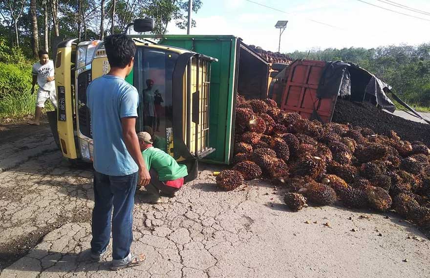 Truk bermuatan TBS kelapa sawit terguling di ruas Jalan Rengat-Teluk Kuantan, tepatnya di Desa Sungai Kuning Binio, Kecamatan Kelayang, Kabupaten Inhu. Akibatnya, sempat terjadi macet sepanjang dua kilometer selama hampir satu jam,  Ahad (18/4/2021).