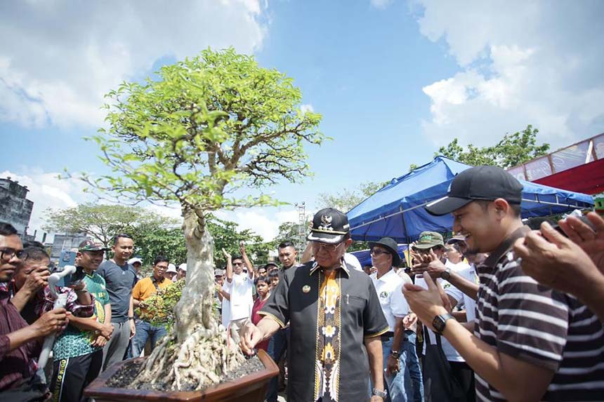 Bupati Inhil HM Wardan menyaksikan pameran bonsai di lapangan Jalan Gajah Mada, Tembilahan, baru-baru ini.