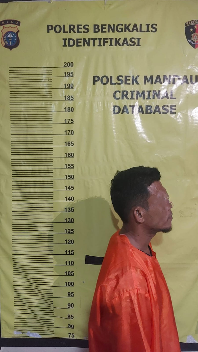 Tersangka pencabukan terhadap anak kandung saat diamankan di Mapolres Bengkalis.