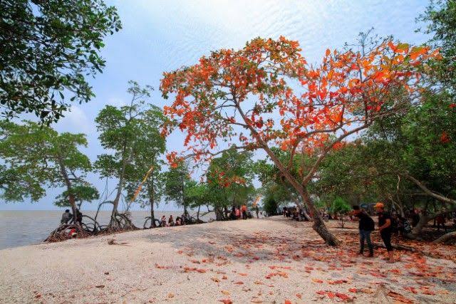 Pantai Solop Pulau Cawan, Mandah, Inhil.