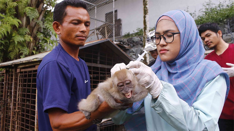 Dokter memberikan vaksinasi rabies kepada hewan yang berpotensi menularkan rabies di Shelter Suargaloka Camari Jalan Patria Sari GG Patria Sari VIII, Sabtu (7/10/2023). Kegiatan ini digelar dalam rangka peringatan hari rabies sedunia 2023.