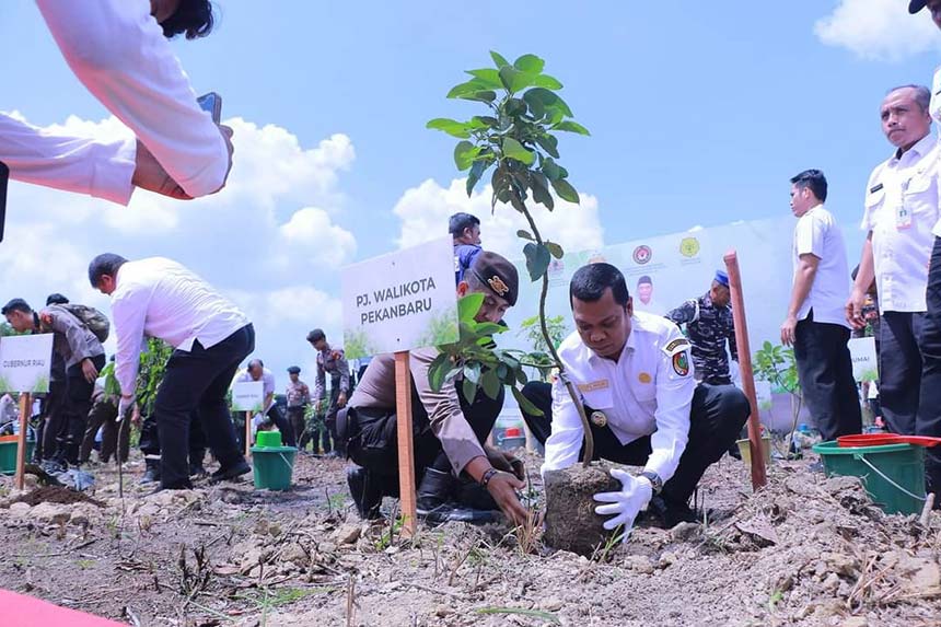 Pj Wali Kota Pekanbaru Muflihun SSTP MAP saat membuka bibit pohon dari polybag dan akan dimasukkan ke dalam lubang saat kegiatan penanaman pohon di Kecamatan Kulim, Pekanbaru, baru-baru ini.