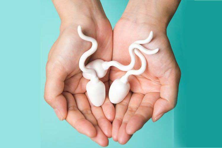 ILUSTRASI; Sperma (foto/int)