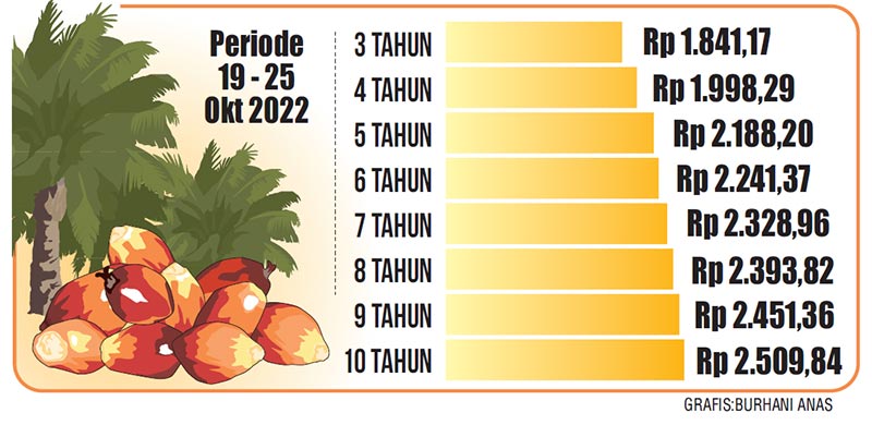 Info Grafis