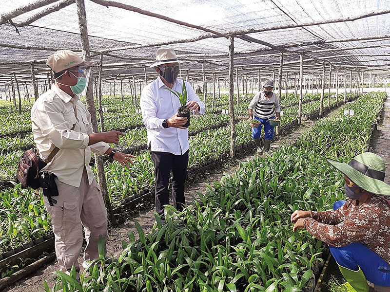 CEO PTPN V Jatmiko K Santosa bersama para pekerja proyek KSO bibit kelapa sawit antara PTPN V dengan PPKS Medan, di Dumai, Riau, baru-baru ini.(HUMAS PTPN V FOR RIAUPOS.CO)
